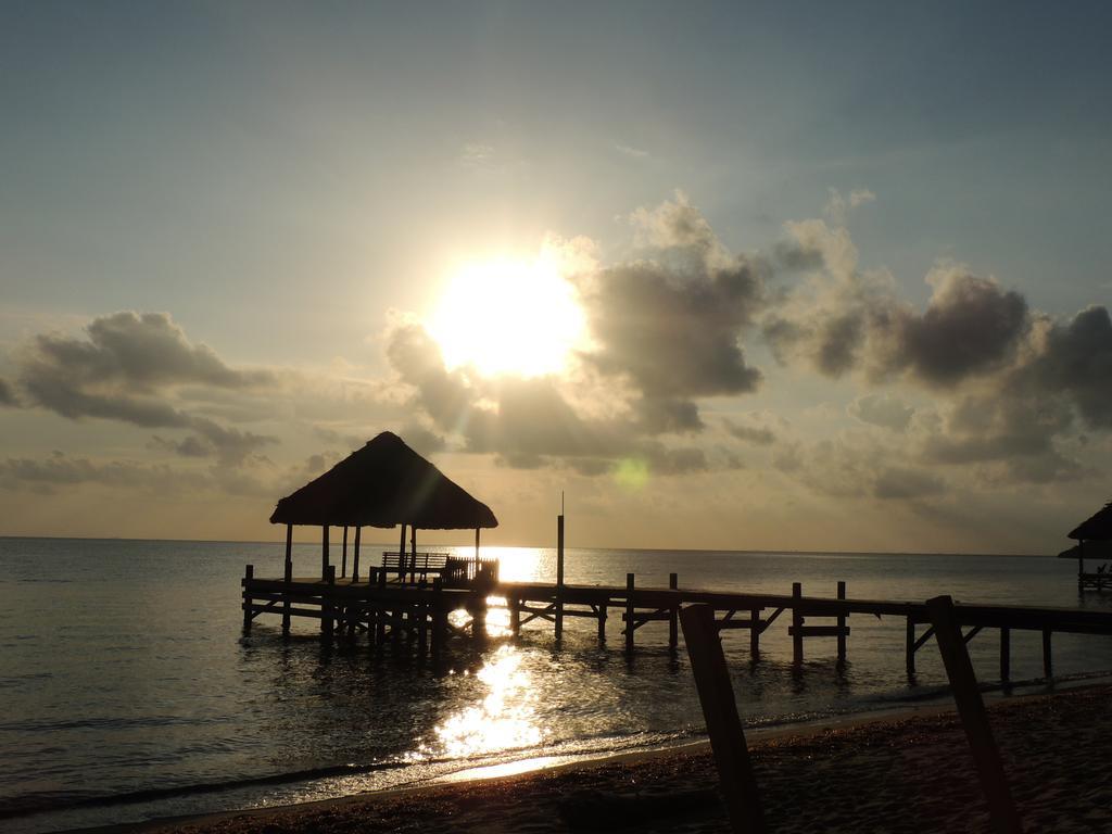 Parrot Cove Lodge Hopkins Bagian luar foto