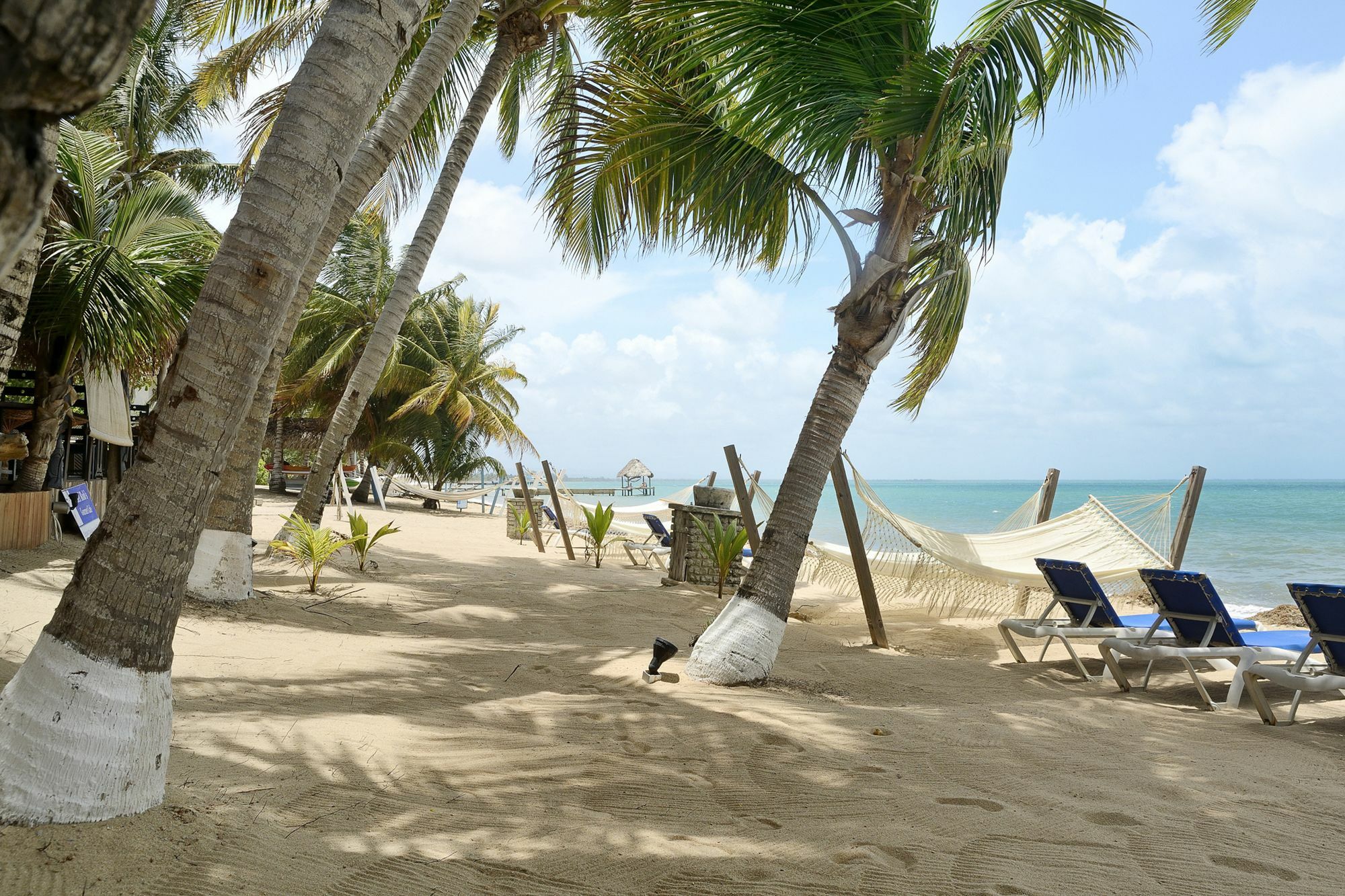 Parrot Cove Lodge Hopkins Bagian luar foto