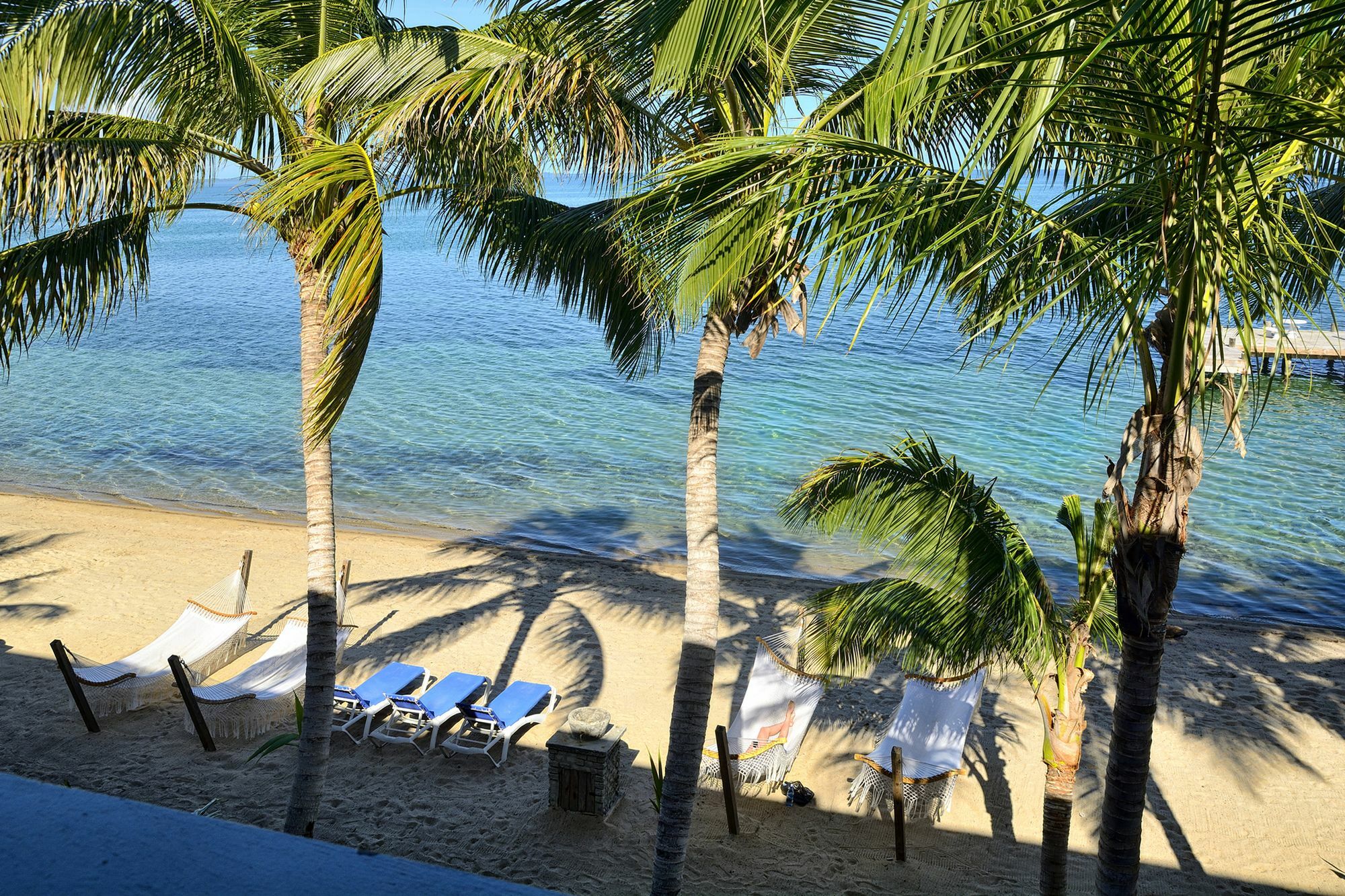 Parrot Cove Lodge Hopkins Bagian luar foto